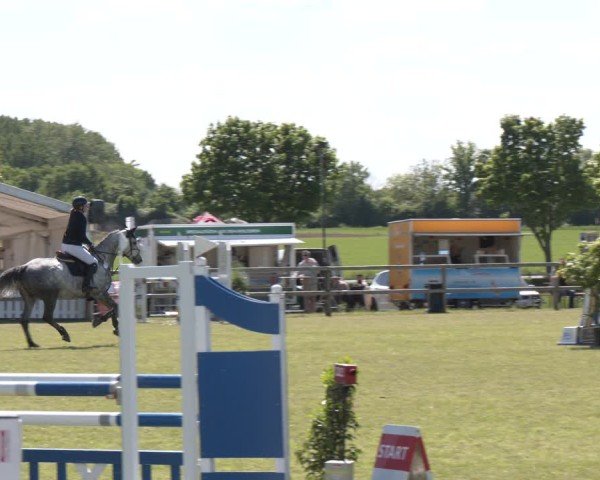 Reitturnier Wilkenburg 2025