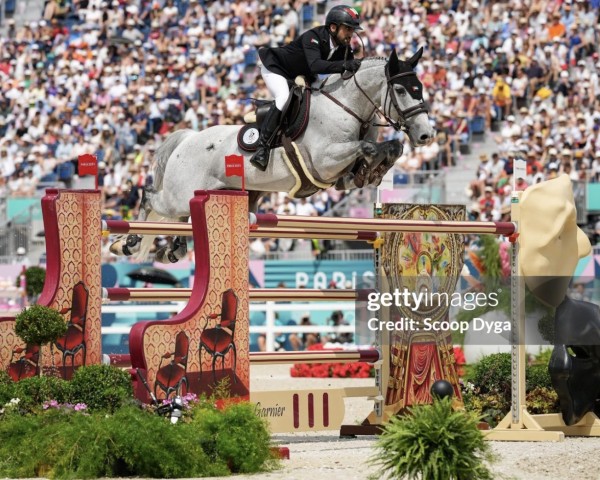 Springpferd Bbs Mcgregor (Irish Sport Horse, 2012, von VDL Cardento 933)