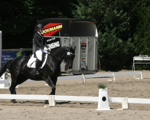 Reitturnier Hildesheim-Steuerwald 2025