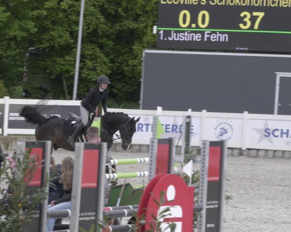 Reitturnier Babenhausen 2025