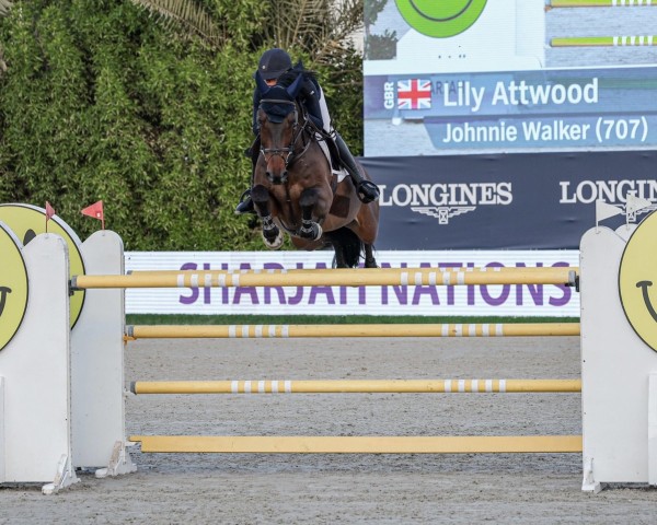 jumper Johnnie Walker (KWPN (Royal Dutch Sporthorse), 2014, from VDL Harley)
