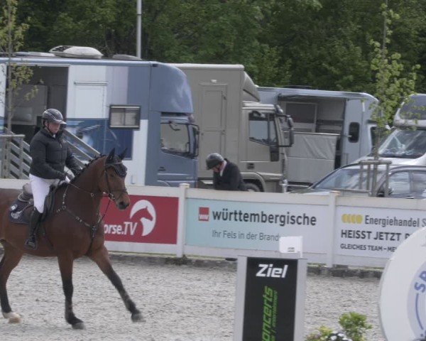 Reitturnier Babenhausen 2025