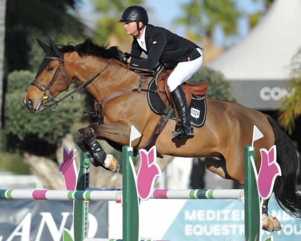 jumper Invictus (KWPN (Royal Dutch Sporthorse), 2013, from Jamal Vd Heffinck)