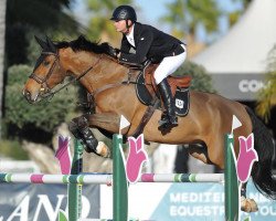 Springpferd Invictus (KWPN (Niederländisches Warmblut), 2013, von Jamal Vd Heffinck)