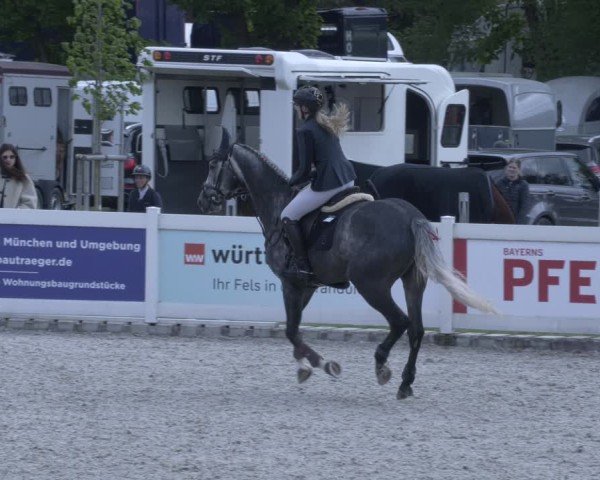 Reitturnier Babenhausen 2025