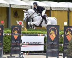 jumper Lady Star van Dorperheide (Belgian Warmblood, 2011, from Zilverstar T)