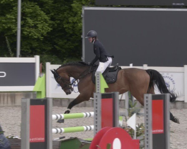 Reitturnier Babenhausen 2025