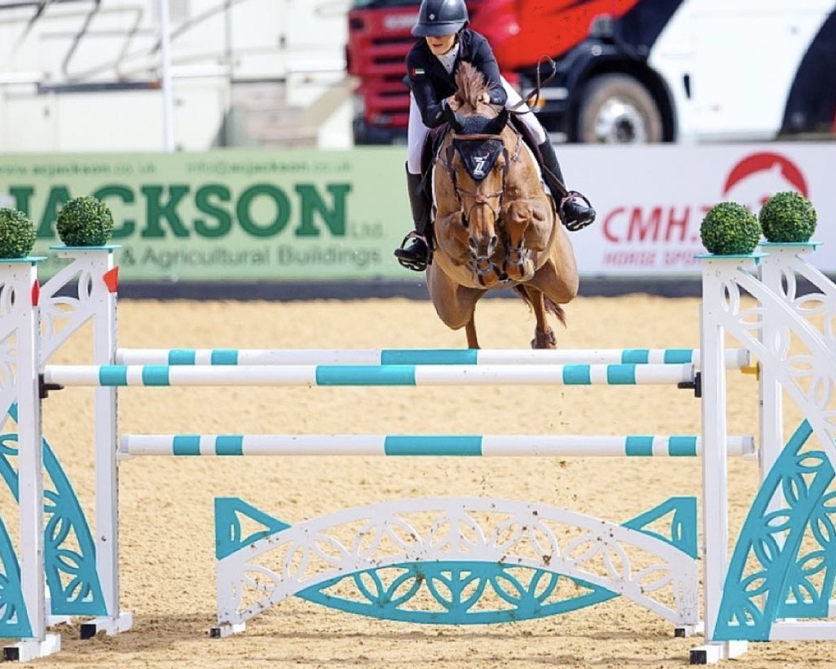 Springpferd Z7 Canya Dance (Irish Sport Horse, 2011, von Can Ya Makan)