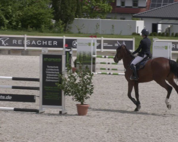 Reitturnier Babenhausen 2025