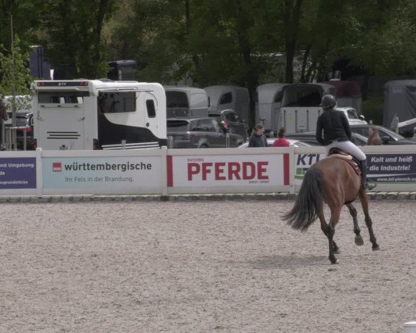 Reitturnier Babenhausen 2025