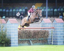 jumper Cash Up (Holsteiner, 2004, from Cash and Carry)