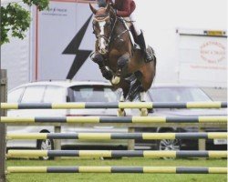 jumper Corenter VA (Holsteiner, 2010, from Indoctro)