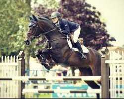 broodmare Zooey (Holsteiner, 2007, from For Pleasure)