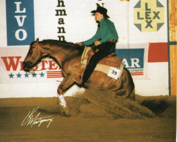 Pferd Sizzlin Slider (Quarter Horse, 1990, von Chub Cody)