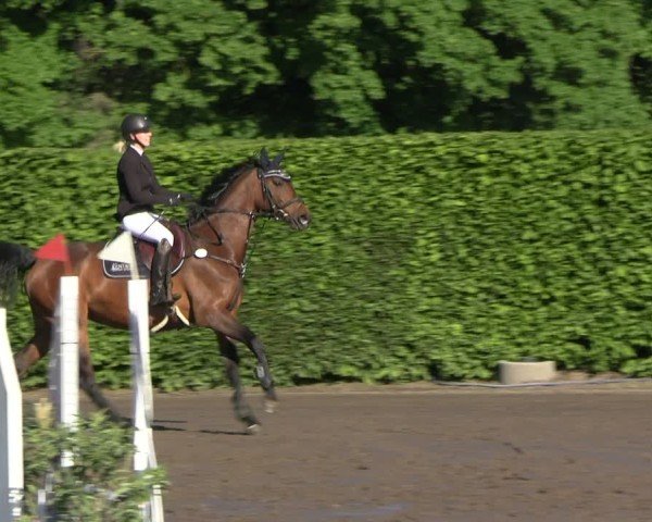 Reitturnier Lentzke - Reitanlage Krehl 2025