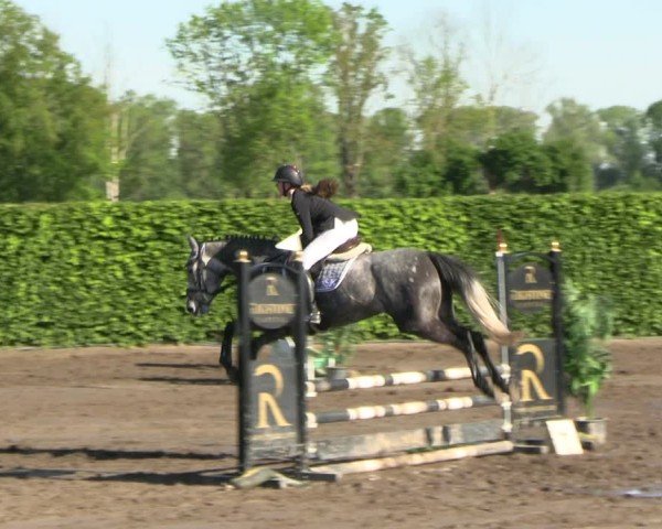 Reitturnier Lentzke - Reitanlage Krehl 2025
