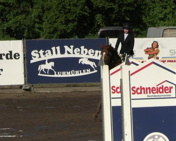Reitturnier Lentzke - Reitanlage Krehl 2025