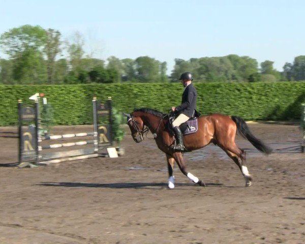 Reitturnier Lentzke - Reitanlage Krehl 2025