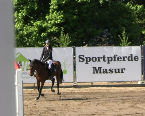 Reitturnier Lentzke - Reitanlage Krehl 2025