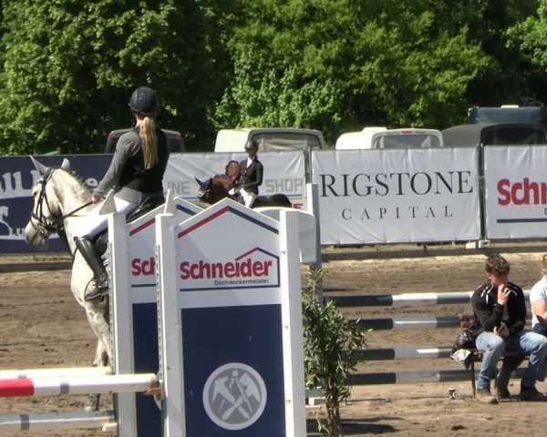 Reitturnier Lentzke - Reitanlage Krehl 2025