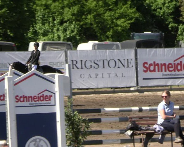 Reitturnier Lentzke - Reitanlage Krehl 2025