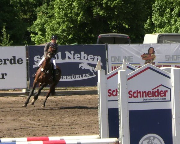 Reitturnier Lentzke - Reitanlage Krehl 2025