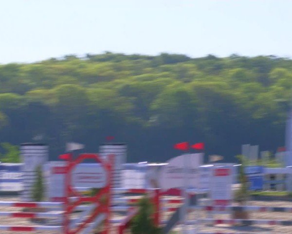 Reitturnier Fürstenwald 2025