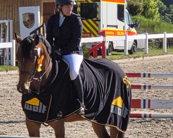 Springpferd Famagusta 5 (Deutsches Sportpferd, 2020)