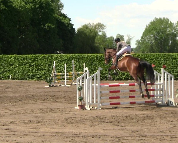 Reitturnier Lentzke - Reitanlage Krehl 2025