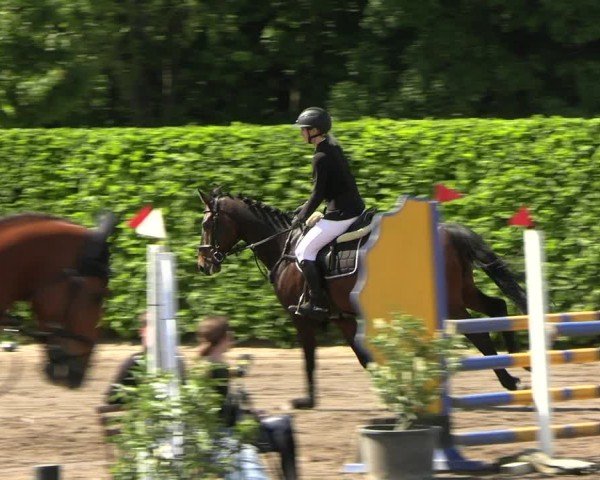 Reitturnier Lentzke - Reitanlage Krehl 2025