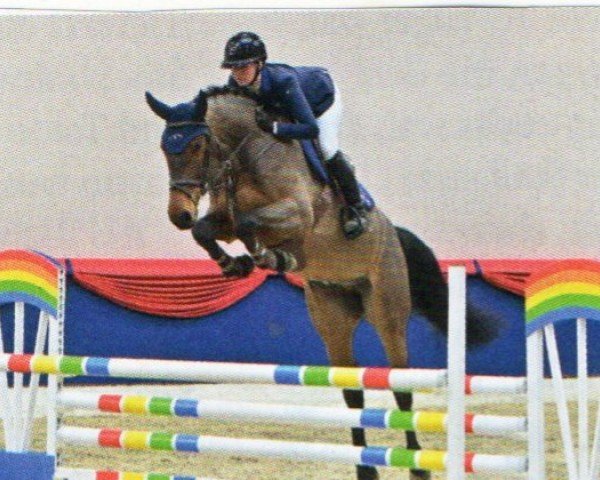 jumper Casecco (Oldenburg show jumper, 2016, from Conthargos)