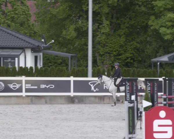 Reitturnier Babenhausen 2025