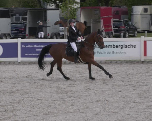 Reitturnier Babenhausen 2025