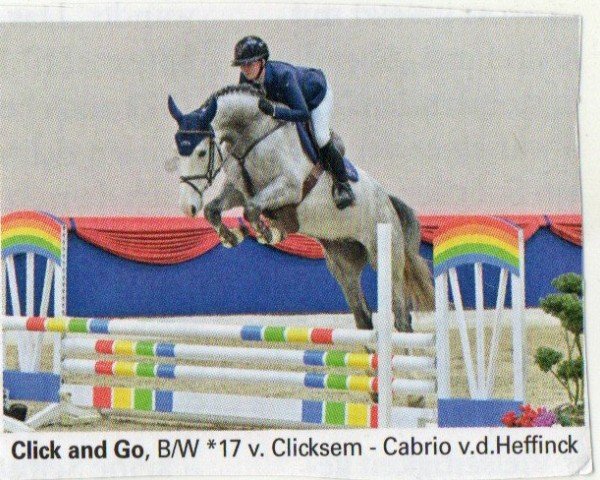 Pferd Click And Go (Oldenburger Springpferd, 2017, von Clicksem)