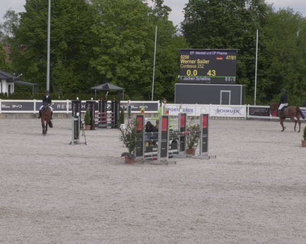 Reitturnier Babenhausen 2025