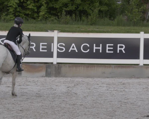 Reitturnier Babenhausen 2025