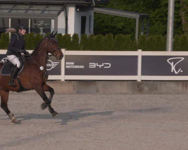 Reitturnier Babenhausen 2025