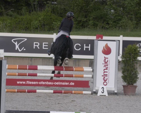 Reitturnier Babenhausen 2025