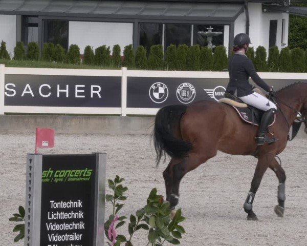 Reitturnier Babenhausen 2025