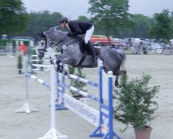 jumper Delaveau 2 (Holsteiner, 2011, from Diarado)