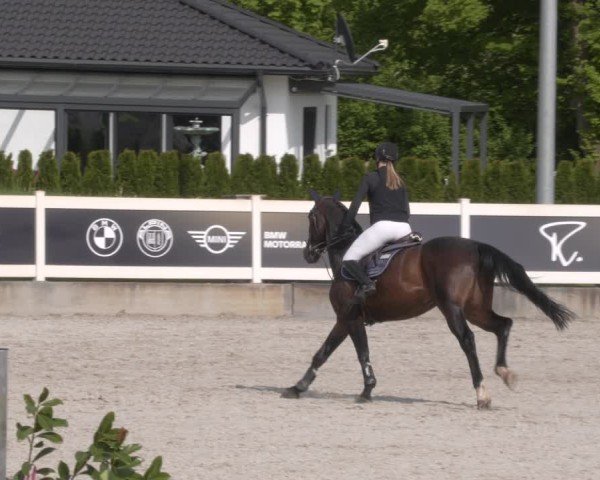 Reitturnier Babenhausen 2025