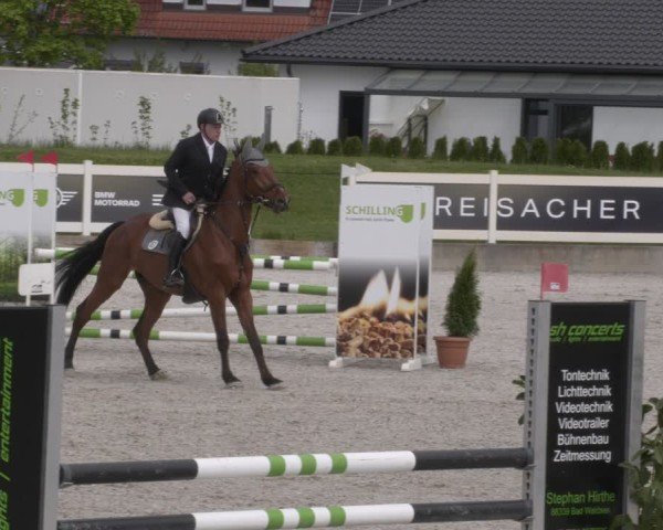 Reitturnier Babenhausen 2025