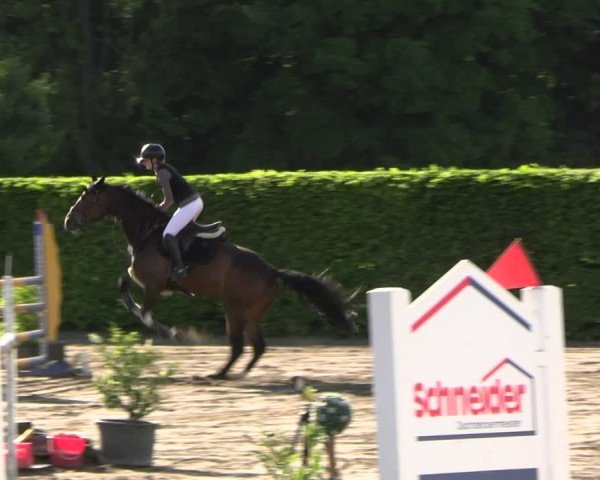 Reitturnier Lentzke - Reitanlage Krehl 2025
