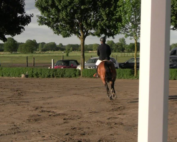 Reitturnier Lentzke - Reitanlage Krehl 2025