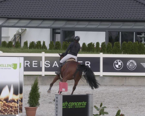 Reitturnier Babenhausen 2025