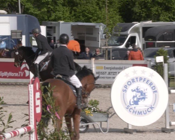 Reitturnier Babenhausen 2025