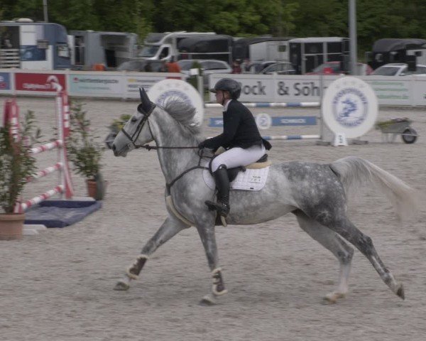 Reitturnier Babenhausen 2025