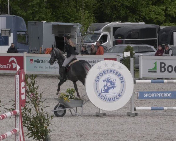 Reitturnier Babenhausen 2025