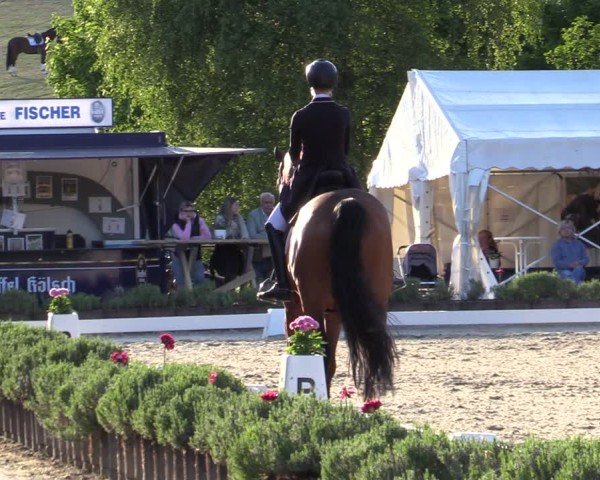 Reitturnier Lindlar - Reitanlage Dückers 2025