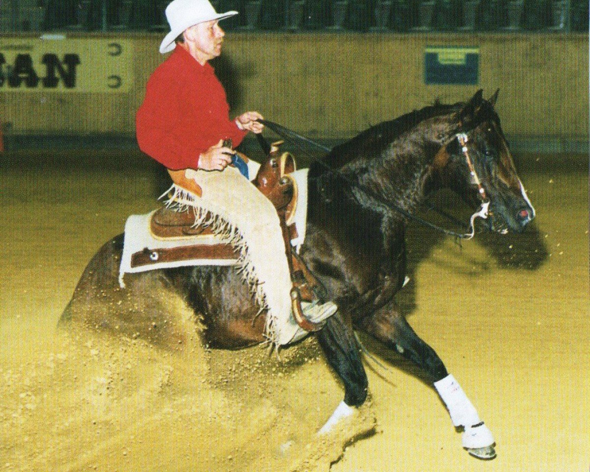 Deckhengst WV Docs Catalyst Bar (Quarter Horse, 1989, von Taris Catalyst)